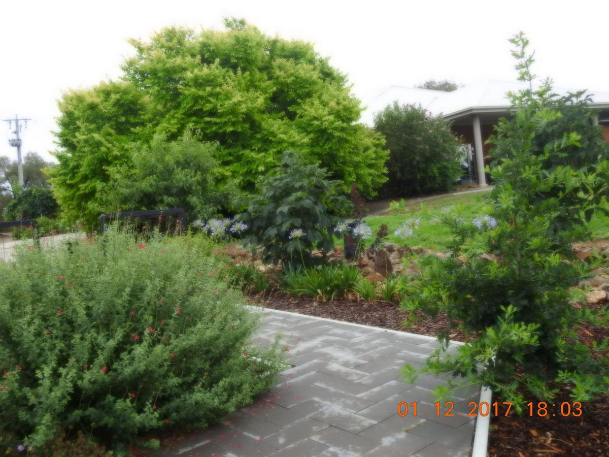 Barklysuites Apartments Rutherglen Bagian luar foto
